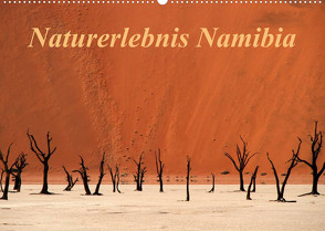 Naturerlebnis Namibia (Wandkalender 2023 DIN A2 quer) von Hawerkamp,  Hans-Wolfgang