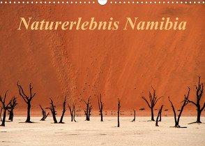 Naturerlebnis Namibia (Wandkalender 2023 DIN A3 quer) von Hawerkamp,  Hans-Wolfgang