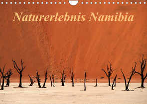 Naturerlebnis Namibia (Wandkalender 2023 DIN A4 quer) von Hawerkamp,  Hans-Wolfgang