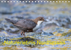 Naturerlebnis Nordhessen (Tischkalender 2021 DIN A5 quer) von Martin (GDT),  Wilfried