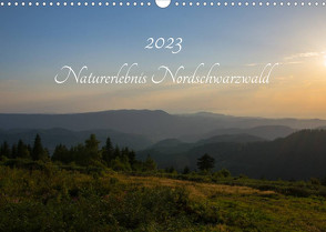 Naturerlebnis Nordschwarzwald (Wandkalender 2023 DIN A3 quer) von Wurster,  Anne