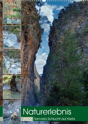 Naturerlebnis Samaria Schlucht auf Kreta (Wandkalender 2022 DIN A2 hoch) von Kleemann,  Claudia