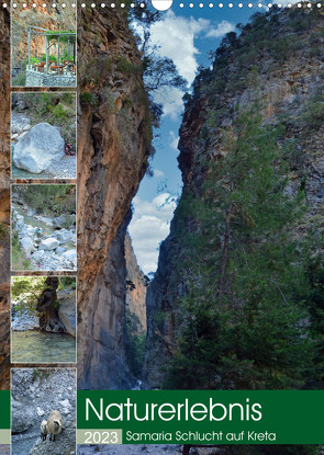 Naturerlebnis Samaria Schlucht auf Kreta (Wandkalender 2023 DIN A3 hoch) von Kleemann,  Claudia