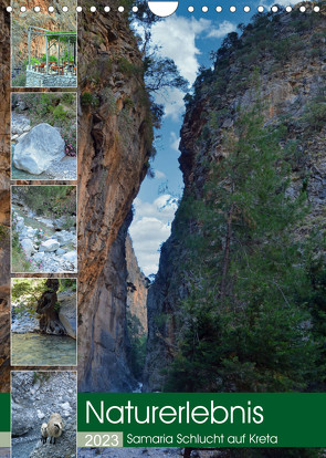 Naturerlebnis Samaria Schlucht auf Kreta (Wandkalender 2023 DIN A4 hoch) von Kleemann,  Claudia
