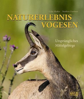 NATURERLEBNIS VOGESEN von Daubner,  Norbert, Hufler,  Gaby