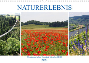 Naturerlebnis – Wandern zwischen Hunsrück, Mosel und Eifel (Wandkalender 2023 DIN A3 quer) von Frost,  Anja