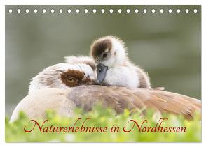 Naturerlebnisse in Nordhessen (Tischkalender 2024 DIN A5 quer), CALVENDO Monatskalender von Martin (GDT),  Wilfried