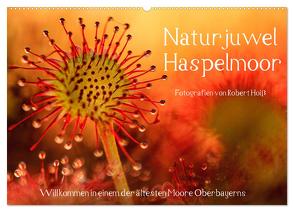 Naturjuwel Haspelmoor (Wandkalender 2024 DIN A2 quer), CALVENDO Monatskalender von Hoiss,  Robert