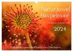 Naturjuwel Haspelmoor (Wandkalender 2024 DIN A3 quer), CALVENDO Monatskalender von Hoiss,  Robert