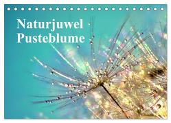 Naturjuwel Pusteblume (Tischkalender 2024 DIN A5 quer), CALVENDO Monatskalender von Delgado,  Julia