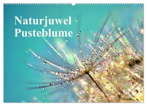 Naturjuwel Pusteblume (Wandkalender 2024 DIN A2 quer), CALVENDO Monatskalender von Delgado,  Julia