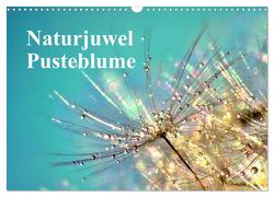 Naturjuwel Pusteblume (Wandkalender 2024 DIN A3 quer), CALVENDO Monatskalender von Delgado,  Julia