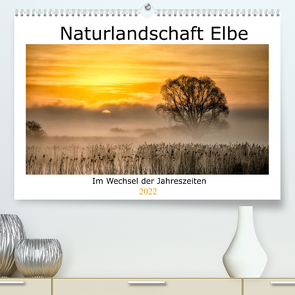 Naturlandschaft Elbe – Im Wechsel der Jahreszeiten (Premium, hochwertiger DIN A2 Wandkalender 2022, Kunstdruck in Hochglanz) von AkremaFotoArt