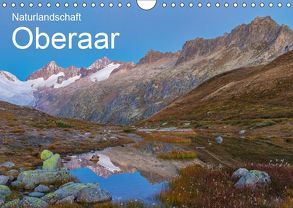 Naturlandschaft Oberaar (Wandkalender 2019 DIN A4 quer) von Schaefer,  Marcel