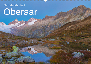 Naturlandschaft Oberaar (Wandkalender 2020 DIN A2 quer) von Schaefer,  Marcel