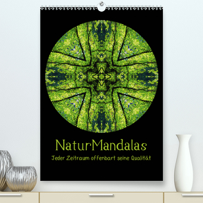 NaturMandalas – Jeder Zeitraum offenbart seine Qualität (Premium, hochwertiger DIN A2 Wandkalender 2021, Kunstdruck in Hochglanz) von OylesArt