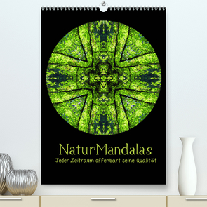 NaturMandalas – Jeder Zeitraum offenbart seine Qualität (Premium, hochwertiger DIN A2 Wandkalender 2022, Kunstdruck in Hochglanz) von OylesArt