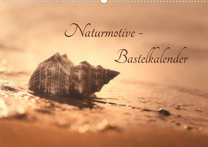 Naturmotive – Bastelkalender (Wandkalender 2023 DIN A2 quer) von Riedel,  Tanja