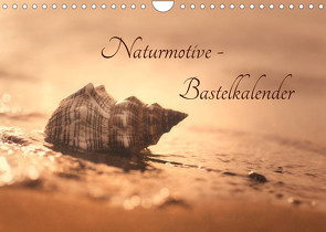 Naturmotive – Bastelkalender (Wandkalender 2023 DIN A4 quer) von Riedel,  Tanja