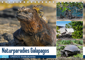 Naturparadies Galapagos – UNESCO Weltkulturerbe (Tischkalender 2021 DIN A5 quer) von Photo4emotion.com