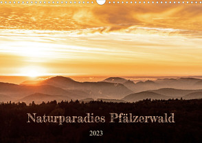 Naturparadies Pfälzerwald (Wandkalender 2023 DIN A3 quer) von - Patricia Flatow,  Momentfänger