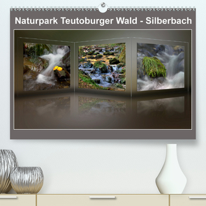 Naturpark Teutoburger Wald – Silberbach (Premium, hochwertiger DIN A2 Wandkalender 2021, Kunstdruck in Hochglanz) von Hobscheidt,  Ernst