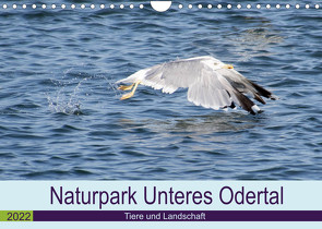 Naturpark Unteres Odertal (Wandkalender 2022 DIN A4 quer) von Widdmann,  Uwe