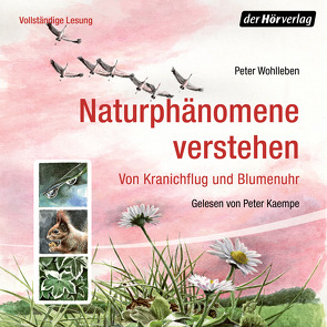 Naturphänomene verstehen von Kaempfe,  Peter, Wohlleben,  Peter