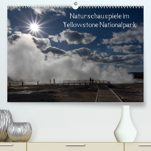 Naturschauspiele im Yellowstone Nationalpark (Premium, hochwertiger DIN A2 Wandkalender 2022, Kunstdruck in Hochglanz) von Friederich,  Rudolf