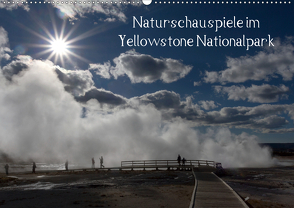 Naturschauspiele im Yellowstone Nationalpark (Wandkalender 2021 DIN A2 quer) von Friederich,  Rudolf