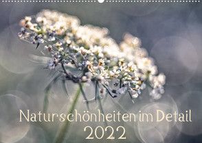 Naturschönheiten im Detail (Wandkalender 2022 DIN A2 quer) von Karius,  Kirsten