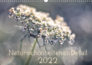 Naturschönheiten im Detail (Wandkalender 2022 DIN A3 quer) von Karius,  Kirsten