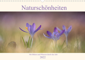 Naturschönheiten – mit Blüten und Pflanzen durch das Jahr (Wandkalender 2022 DIN A3 quer) von Böke-Bergau,  Sabine