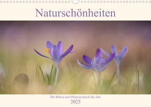 Naturschönheiten – mit Blüten und Pflanzen durch das Jahr (Wandkalender 2023 DIN A3 quer) von Böke-Bergau,  Sabine