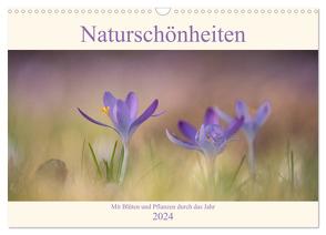 Naturschönheiten – mit Blüten und Pflanzen durch das Jahr (Wandkalender 2024 DIN A3 quer), CALVENDO Monatskalender von Böke-Bergau,  Sabine