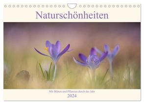 Naturschönheiten – mit Blüten und Pflanzen durch das Jahr (Wandkalender 2024 DIN A4 quer), CALVENDO Monatskalender von Böke-Bergau,  Sabine