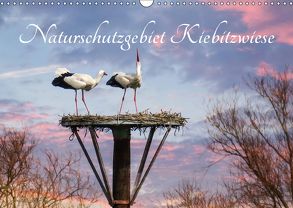 Naturschutzgebiet Kiebitzwiese (Wandkalender 2018 DIN A3 quer) von Störmer,  Roland