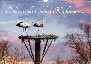 Naturschutzgebiet Kiebitzwiese (Wandkalender 2020 DIN A3 quer) von Störmer,  Roland