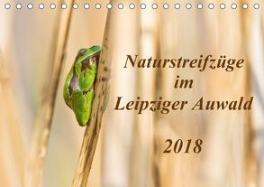 Naturstreifzüge im Leipziger Auwald (Tischkalender 2018 DIN A5 quer) von Beyer,  Daniela