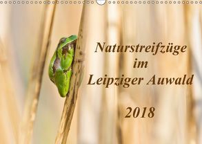 Naturstreifzüge im Leipziger Auwald (Wandkalender 2018 DIN A3 quer) von Beyer,  Daniela