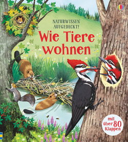 Naturwissen aufgedeckt! Wie Tiere wohnen von Bone,  Emily, Lechuga,  Maribel