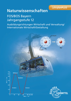 Naturwissenschaften FOS/BOS Bayern von Dillinger,  Josef, Hensel,  Thomas, Koch,  Matthias, Schittenhelm,  Michael, Sickenberger,  Erich, Werner,  Heinz, Werner,  Thomas, Wirth,  Hubert