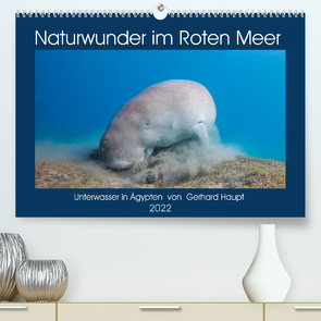 Naturwunder im Roten Meer (Premium, hochwertiger DIN A2 Wandkalender 2022, Kunstdruck in Hochglanz) von Haupt,  Gerhard