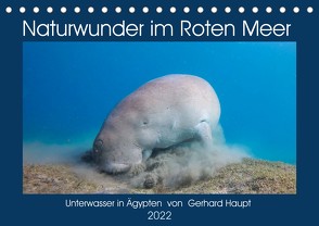 Naturwunder im Roten Meer (Tischkalender 2022 DIN A5 quer) von Haupt,  Gerhard