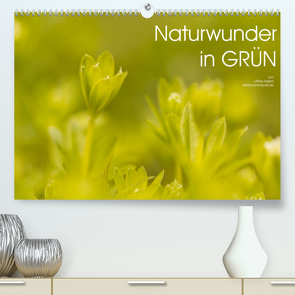 Naturwunder in GRÜN (Premium, hochwertiger DIN A2 Wandkalender 2022, Kunstdruck in Hochglanz) von Adam,  Ulrike