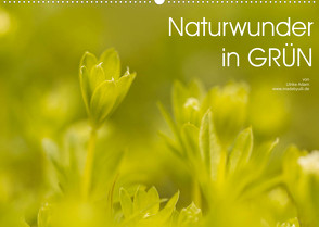 Naturwunder in GRÜN (Wandkalender 2022 DIN A2 quer) von Adam,  Ulrike