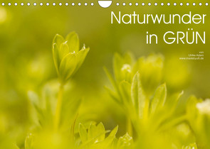 Naturwunder in GRÜN (Wandkalender 2022 DIN A4 quer) von Adam,  Ulrike