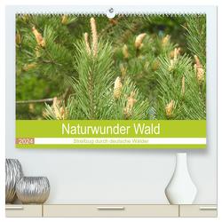 Naturwunder Wald (hochwertiger Premium Wandkalender 2024 DIN A2 quer), Kunstdruck in Hochglanz von Vier,  Bettina