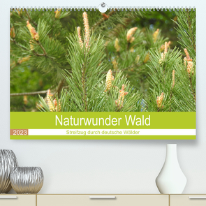 Naturwunder Wald (Premium, hochwertiger DIN A2 Wandkalender 2023, Kunstdruck in Hochglanz) von Vier,  Bettina