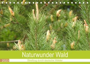 Naturwunder Wald (Tischkalender 2023 DIN A5 quer) von Vier,  Bettina